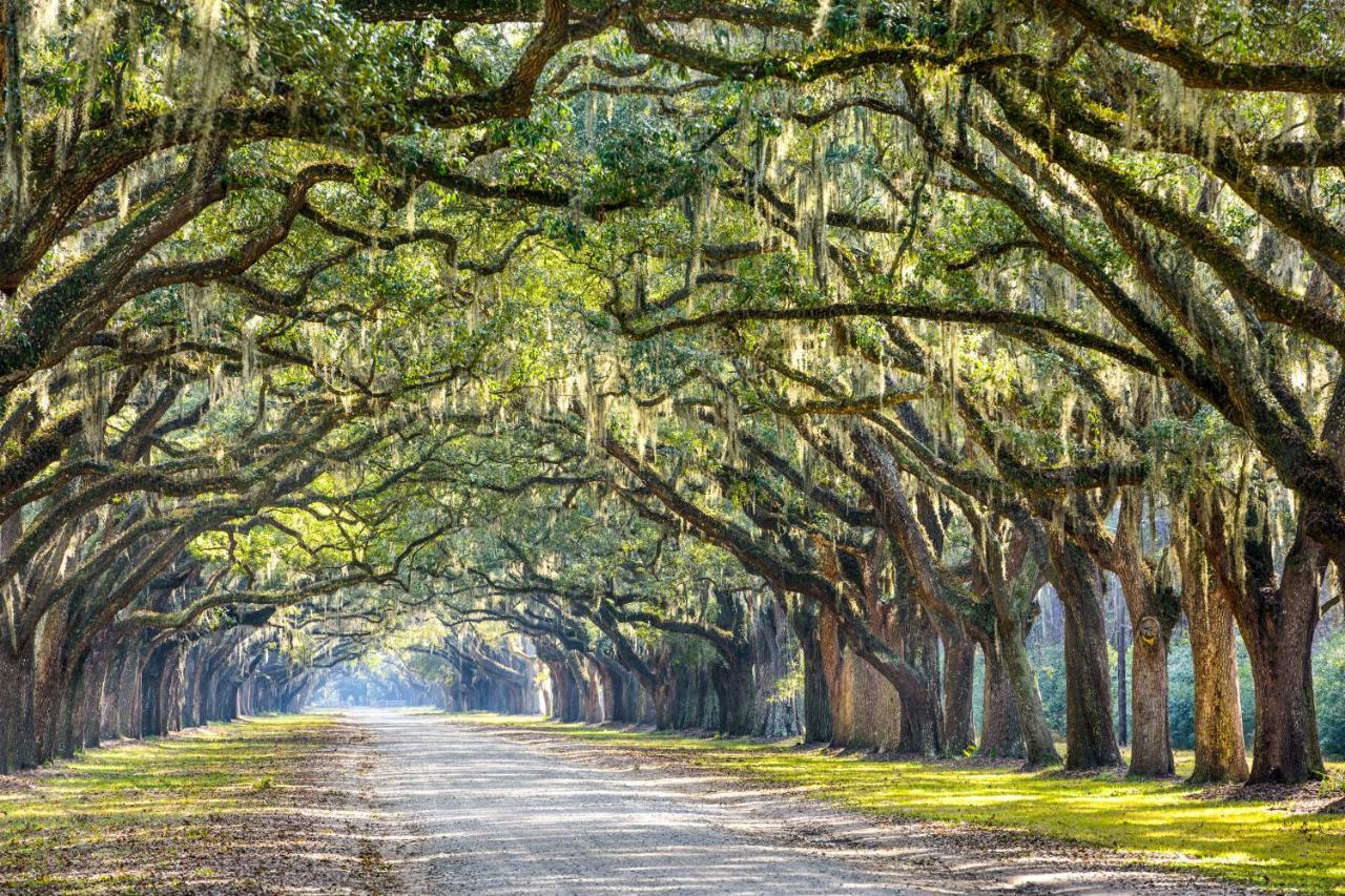 Silver Shores Pulau Tybee Luaran gambar